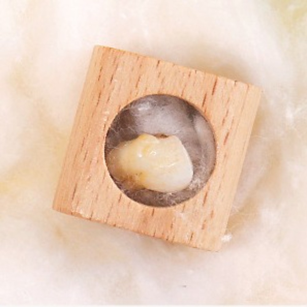 Caja de Madera para Dientes de - Baby Products Storage Box reseña y precio